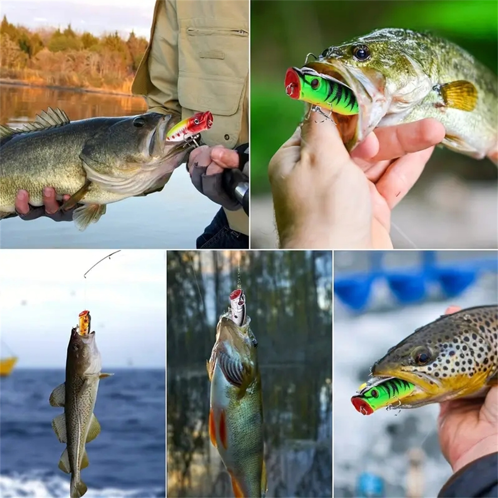 5Pcs Popper Fishing Lures 3d E - Fishing Lure Popper avaliação e preço
