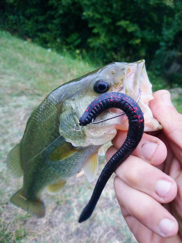 Esfishing Silicone Soft Bait T - Fishing Lure Soft Plastic avaliação e preço